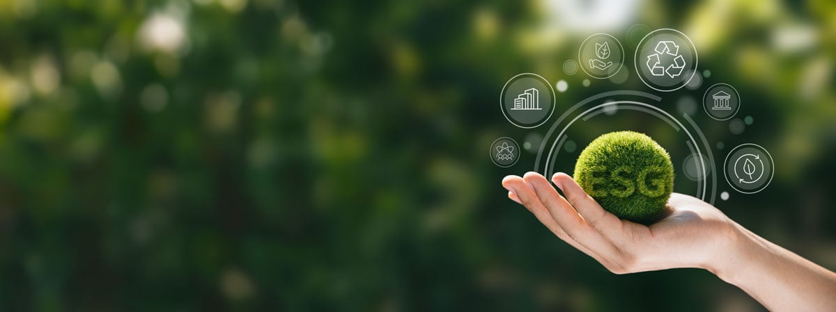 Aligning with the UAE’s Green Vision