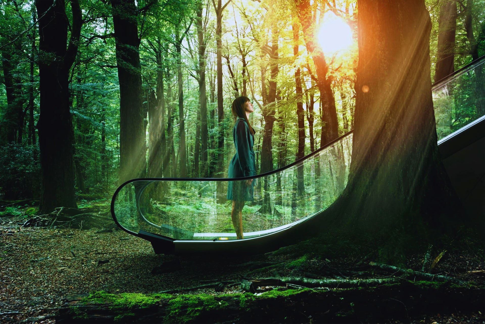 We are committed to excellence in all aspects of facility services.